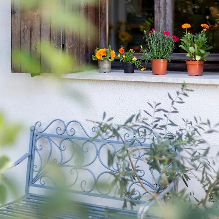 Casa Con Giardino Holiday home