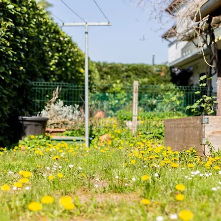 Casa Con Giardino